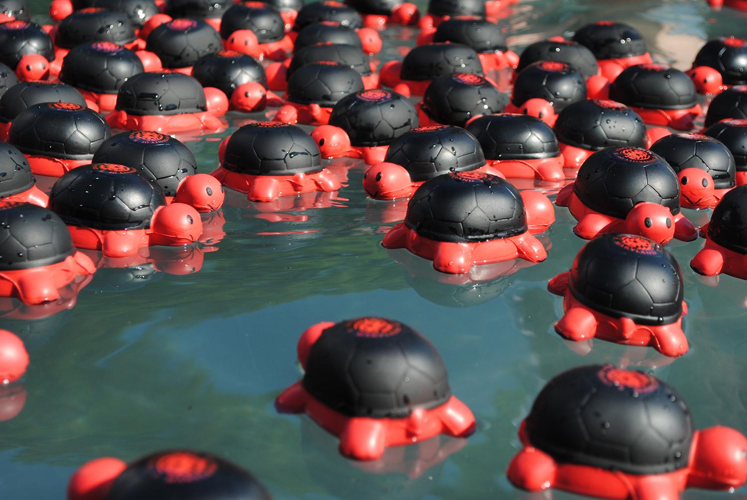 Foam red and black turtles floating in water of the ODK Fountain on Maryland Day